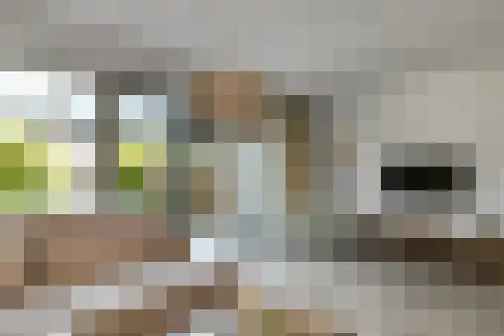 Riet 11 Elst thumbnail 13