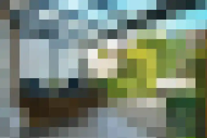 Riet 11 Elst thumbnail 28