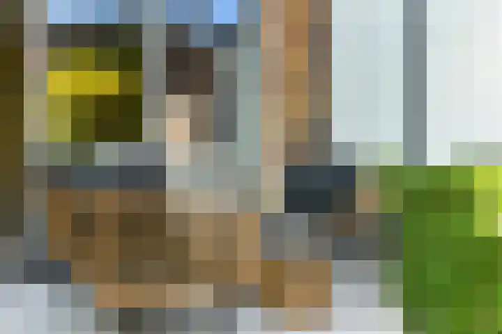Riet 11 Elst thumbnail 31