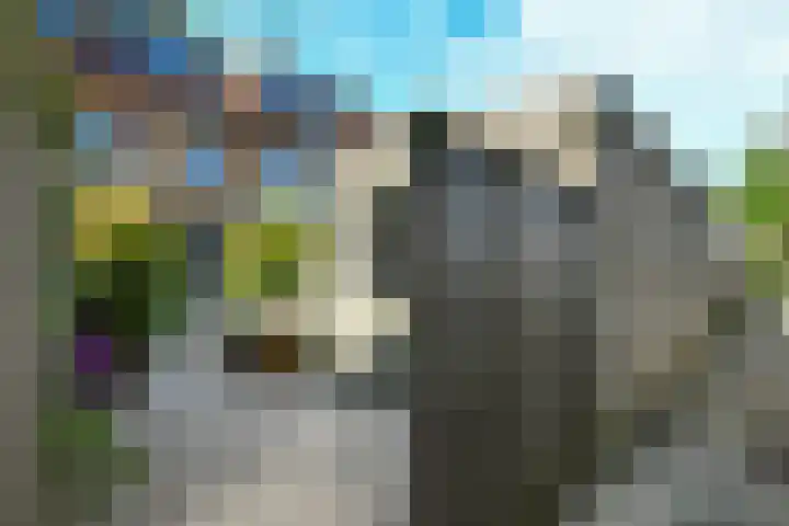 Riet 11 Elst thumbnail 35