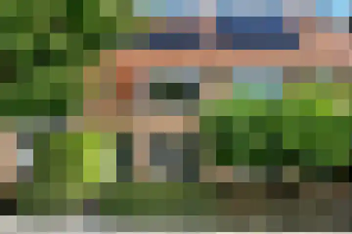 Riet 11 Elst thumbnail 4