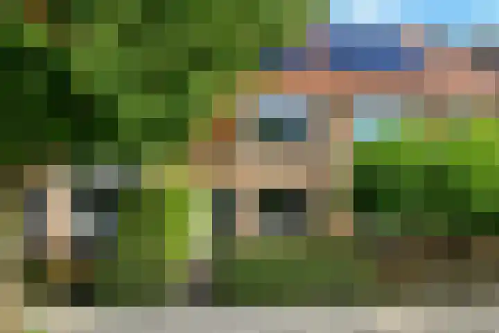 Riet 11 Elst thumbnail 40