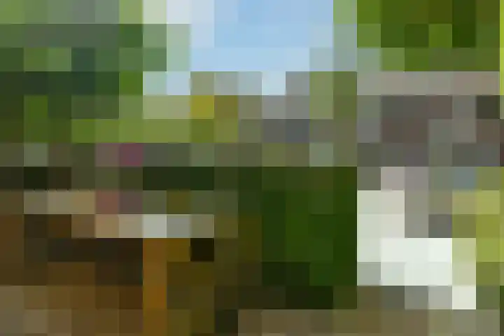 Riet 11 Elst thumbnail 5