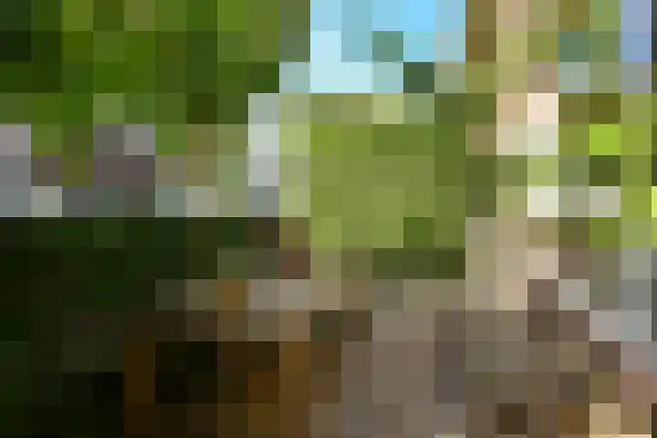 Riet 11 Elst thumbnail 6