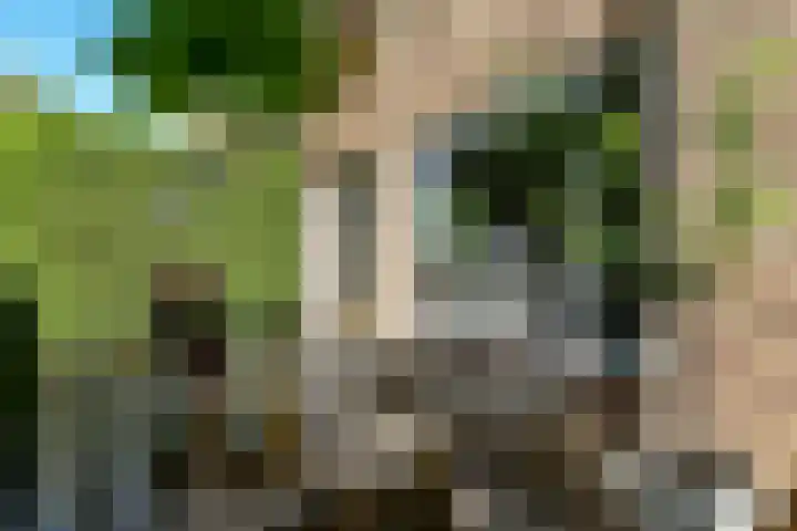 Riet 11 Elst thumbnail 7