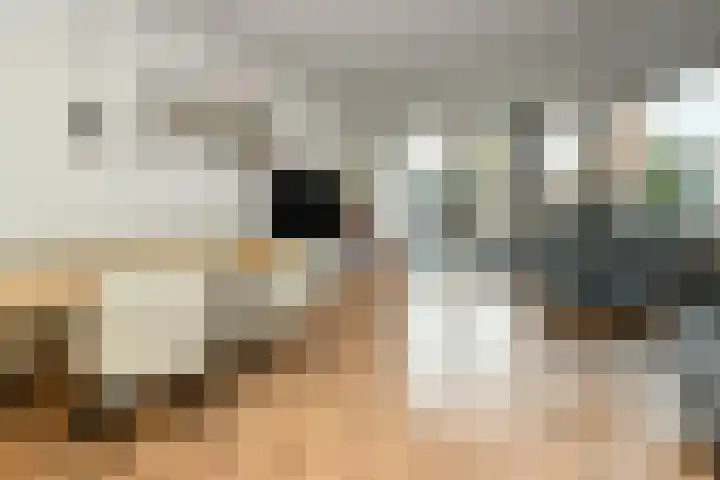 Riet 5 Elst thumbnail 10
