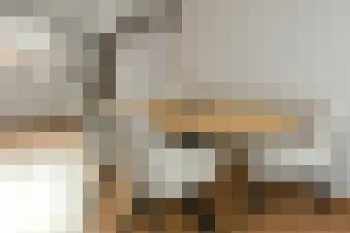 Riet 5 Elst thumbnail 13