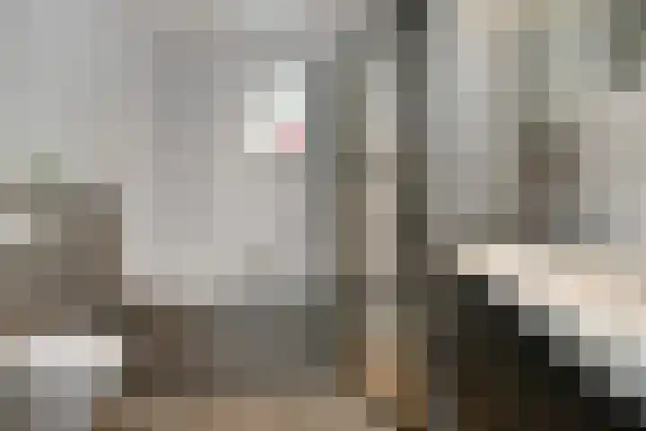 Riet 5 Elst thumbnail 27