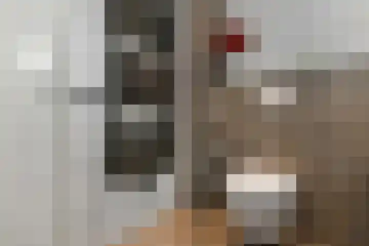 Riet 5 Elst thumbnail 29