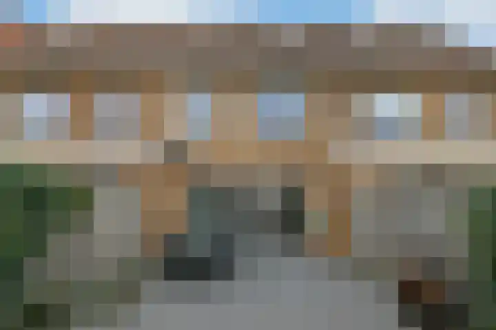 Riet 5 Elst thumbnail 42