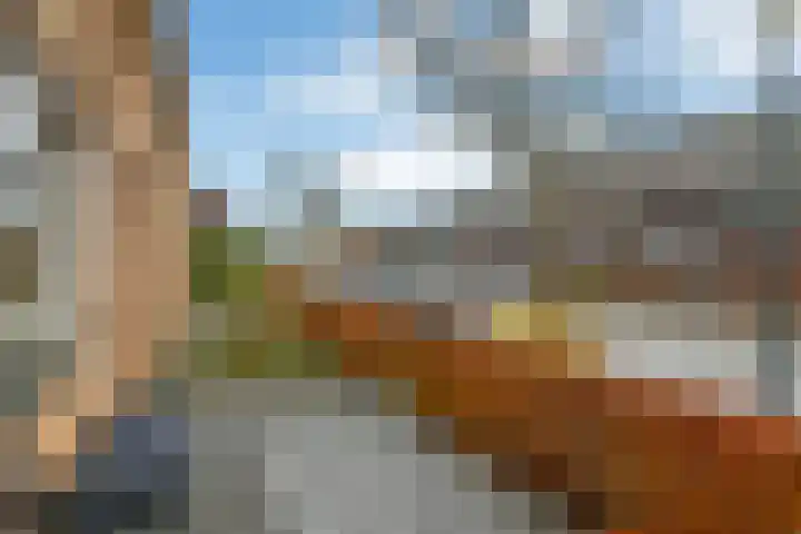 Riet 5 Elst thumbnail 7