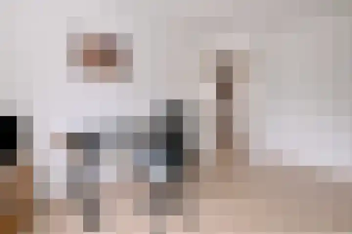 Rietakker 37 Bathmen thumbnail 21