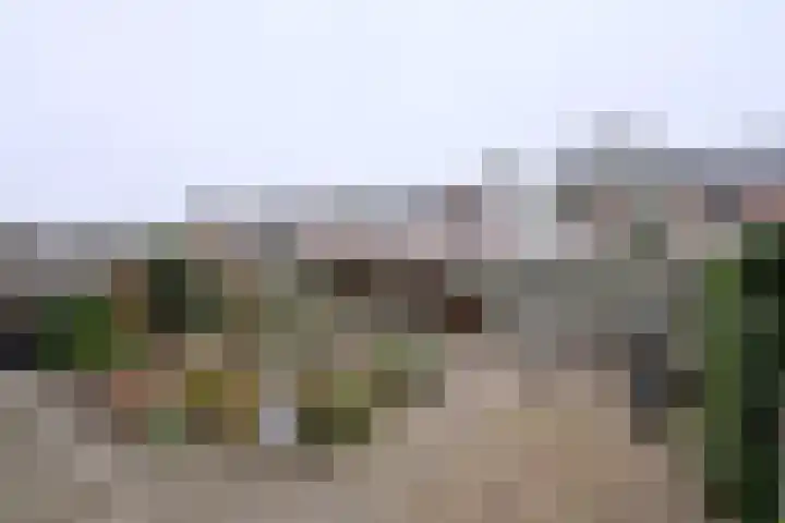 Rietakker 37 Bathmen thumbnail 34