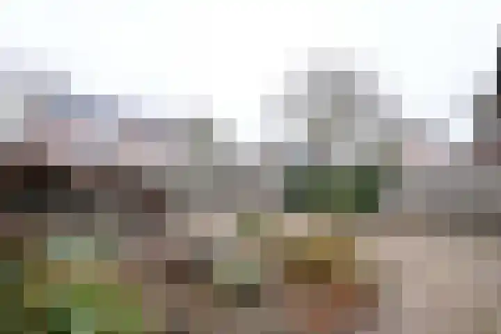 Rietakker 37 Bathmen thumbnail 35