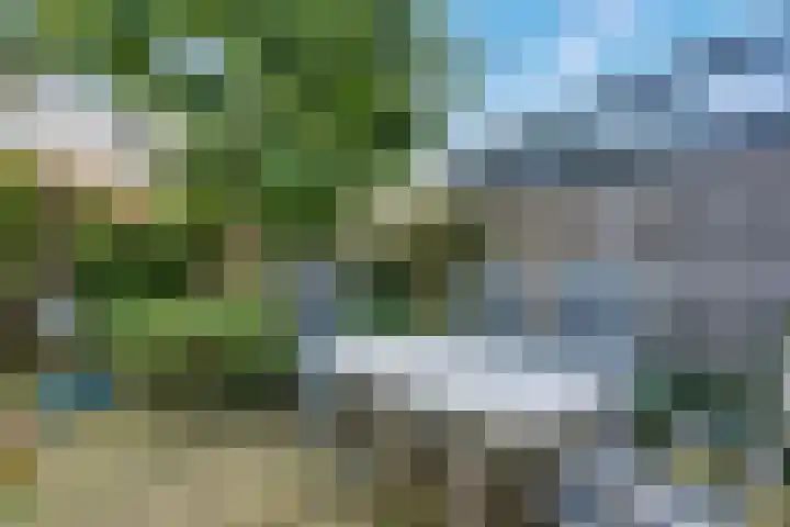Rietbeek 32 Zwartsluis thumbnail 19