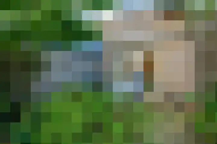 Rietbeek 32 Zwartsluis thumbnail 21