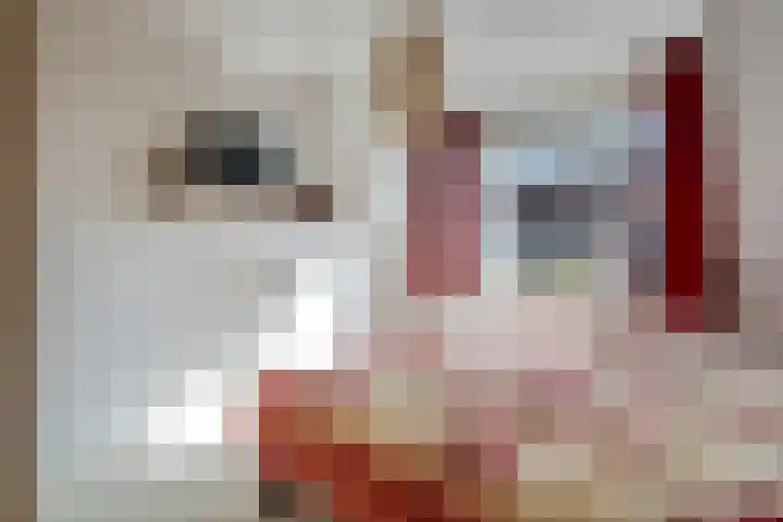 Rietbeek 32 Zwartsluis thumbnail 24