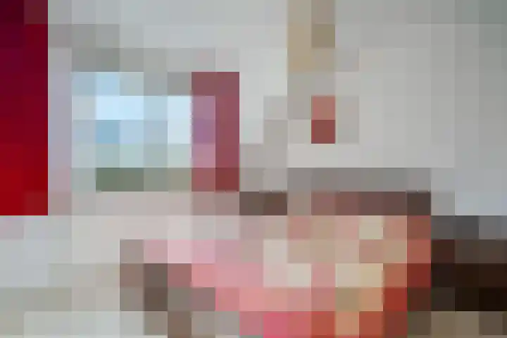 Rietbeek 32 Zwartsluis thumbnail 25