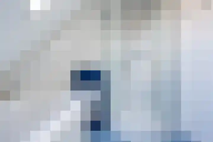 Rietbeek 32 Zwartsluis thumbnail 27