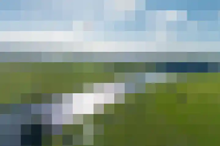 Rietbeek 32 Zwartsluis thumbnail 37