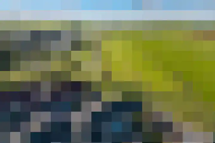 Rietbeek 32 Zwartsluis thumbnail 39