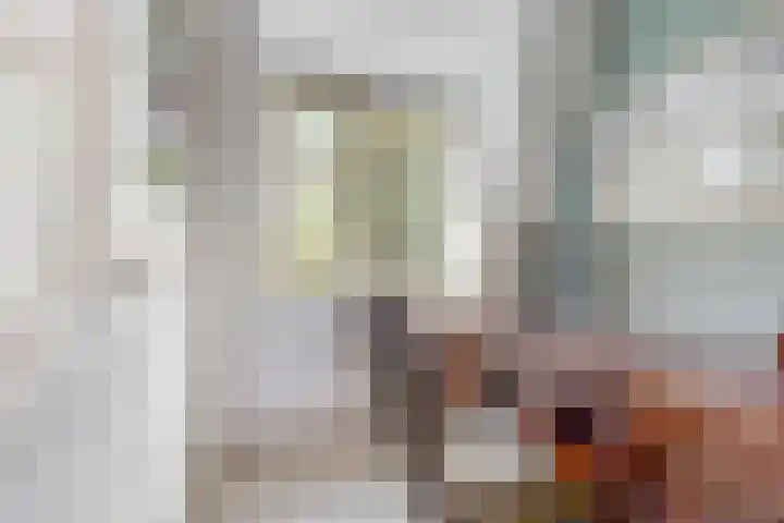 Rietdekker 45 Wijchen thumbnail 10