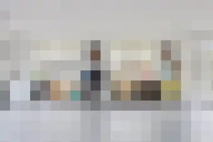 Rietdekker 45 Wijchen thumbnail 13