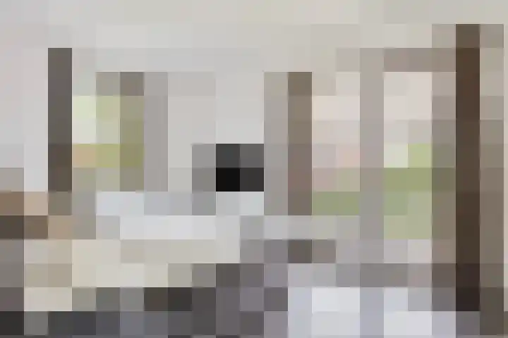 Rietdekker 45 Wijchen thumbnail 15