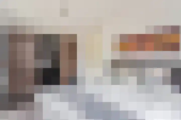 Rietdekker 45 Wijchen thumbnail 16