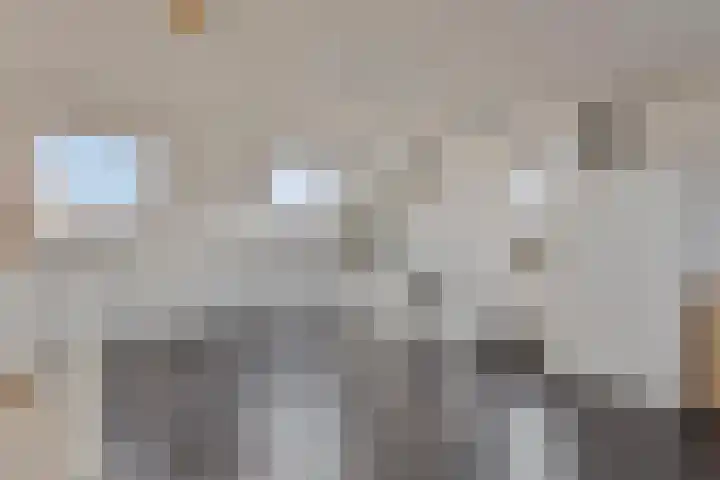 Rietdekker 45 Wijchen thumbnail 25