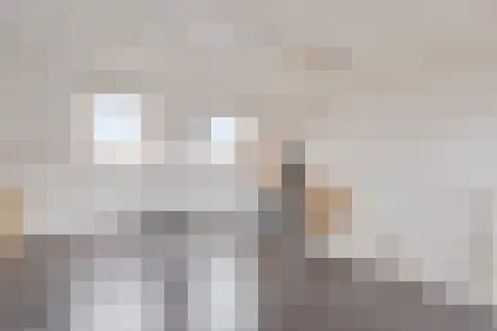 Rietdekker 45 Wijchen thumbnail 27