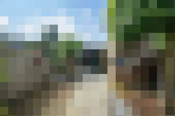 Rietdekker 45 Wijchen thumbnail 28