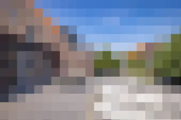 Rietdekker 45 Wijchen thumbnail 30