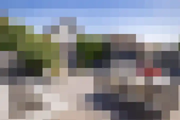 Rietdekker 45 Wijchen thumbnail 31