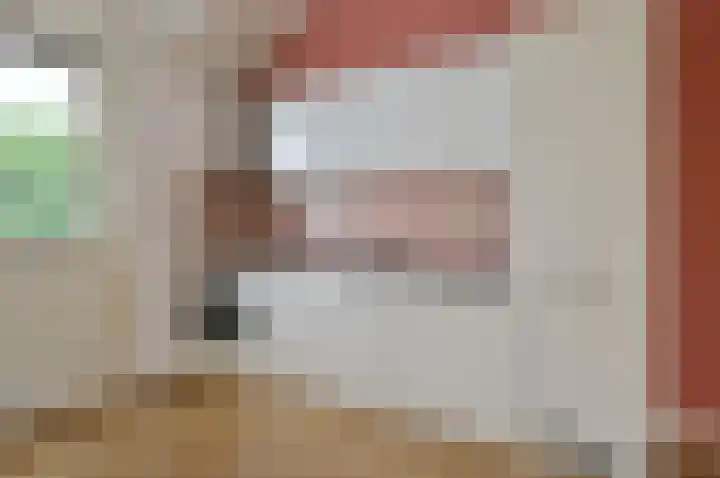 Rietdekker 45 Wijchen thumbnail 36