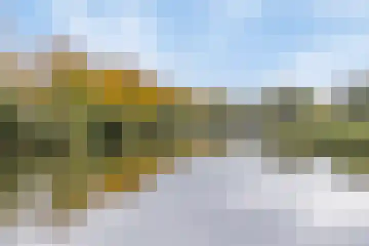 Rietdekker 45 Wijchen thumbnail 37