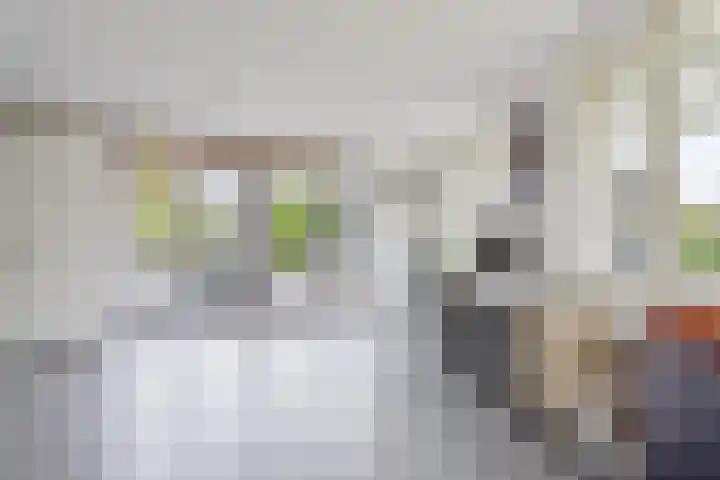 Rietdekker 45 Wijchen thumbnail 4