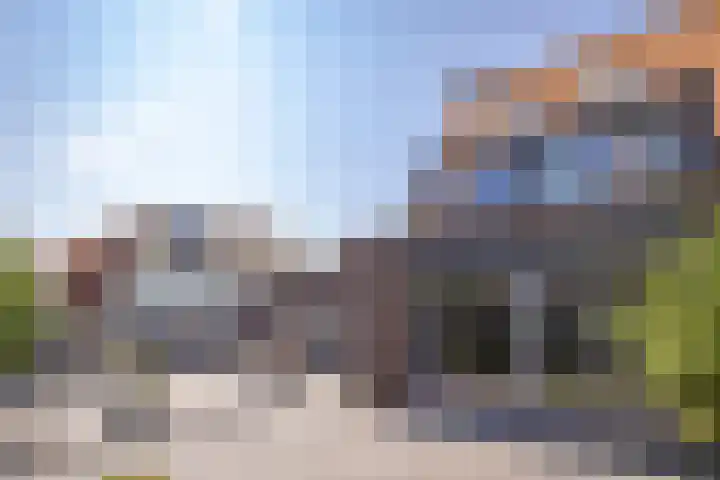 Rietdekker 45 Wijchen thumbnail 5