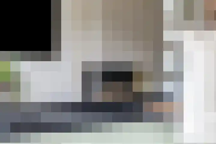 Rietdekker 45 Wijchen thumbnail 7