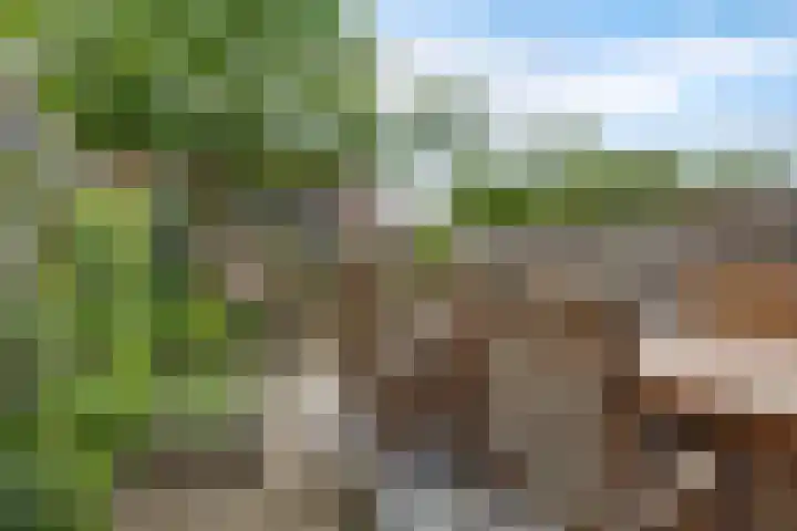 Rietdekker 45 Wijchen thumbnail 9