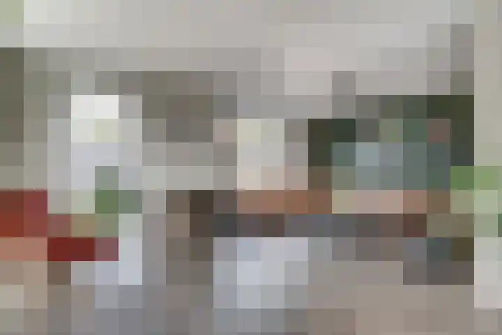 Rietdekker 69 Wijchen thumbnail 11