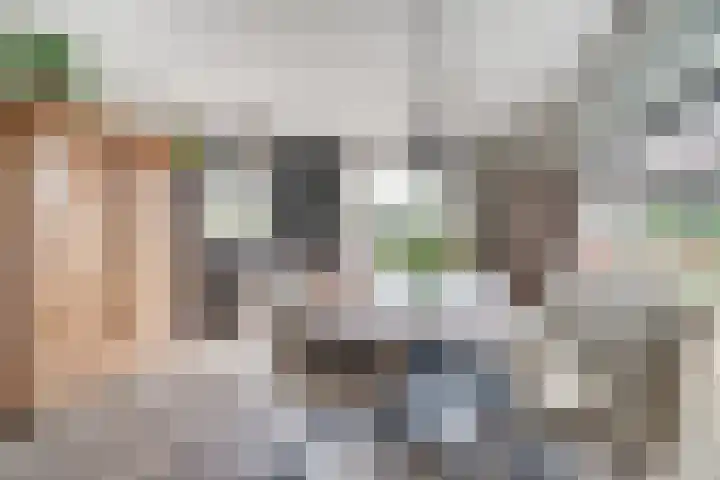 Rietdekker 69 Wijchen thumbnail 14
