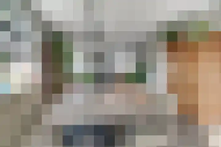 Rietdekker 69 Wijchen thumbnail 16