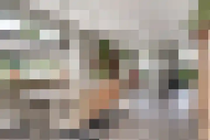 Rietdekker 69 Wijchen thumbnail 17