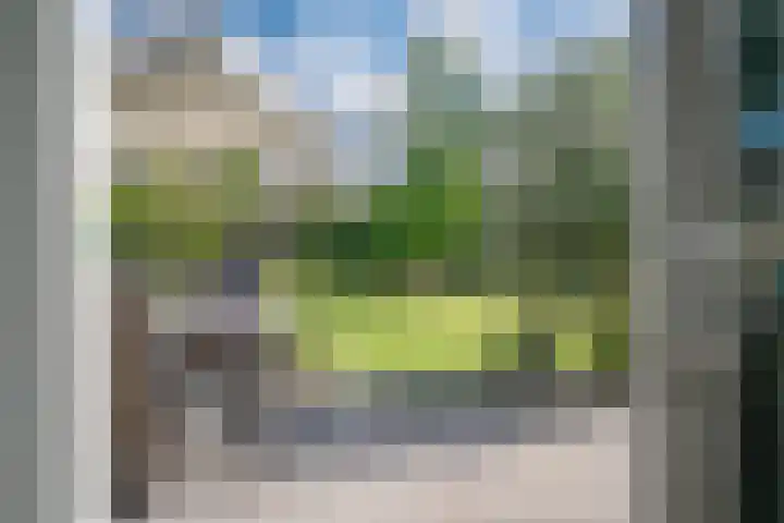 Rietdekker 69 Wijchen thumbnail 20