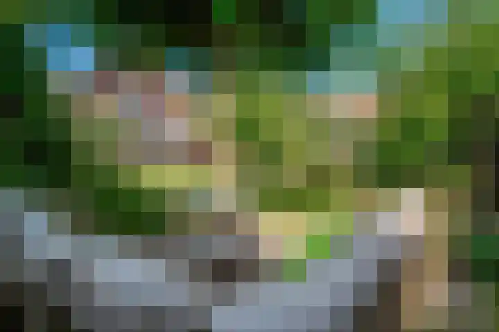 Rietdekker 69 Wijchen thumbnail 21