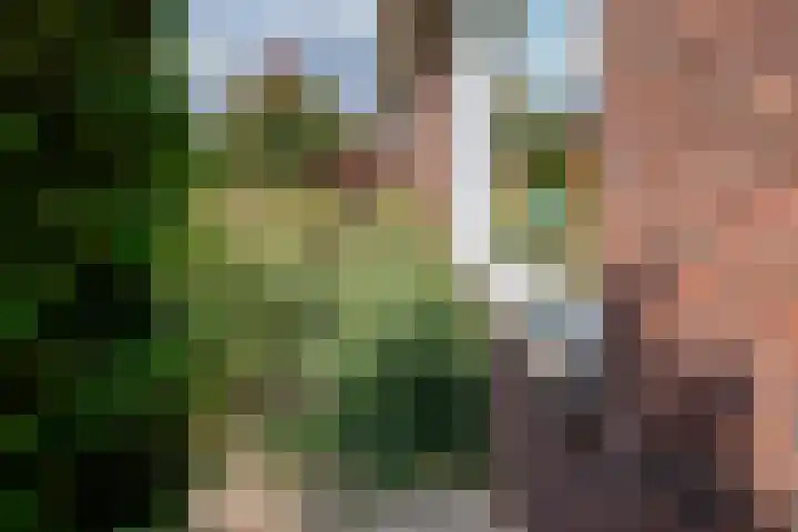Rietdekker 69 Wijchen thumbnail 23