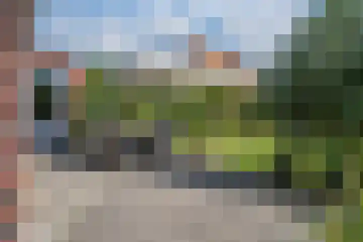 Rietdekker 69 Wijchen thumbnail 24