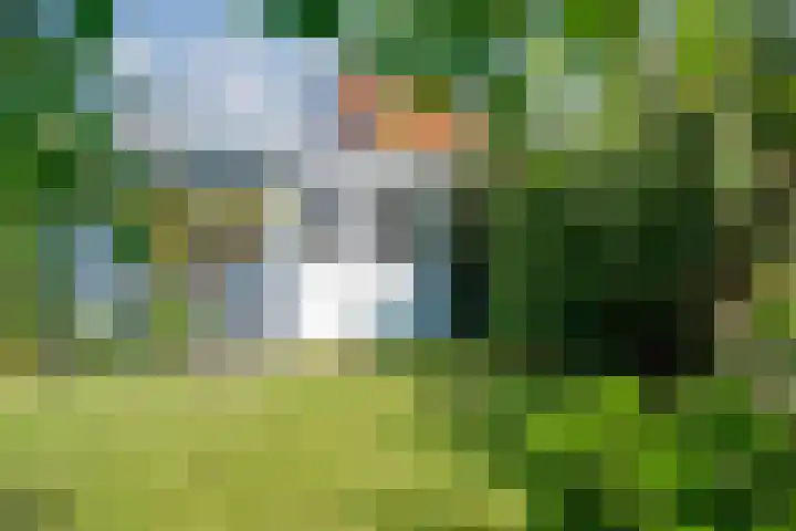 Rietdekker 69 Wijchen thumbnail 28