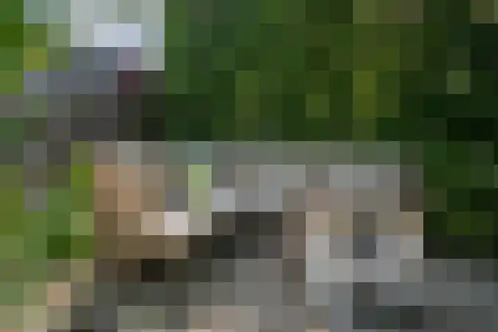 Rietdekker 69 Wijchen thumbnail 29